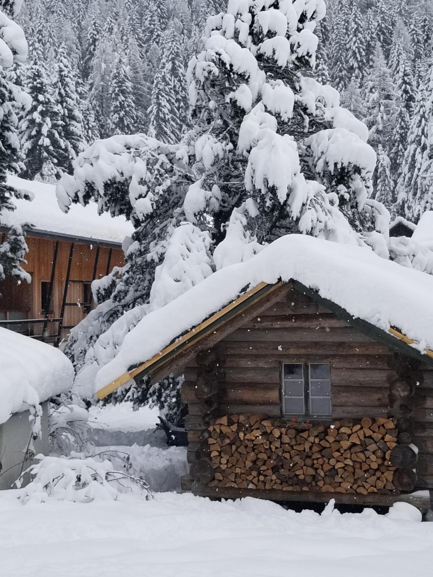 Chalet Walser A Vallorcine 13 Kms Chamonix France المظهر الخارجي الصورة