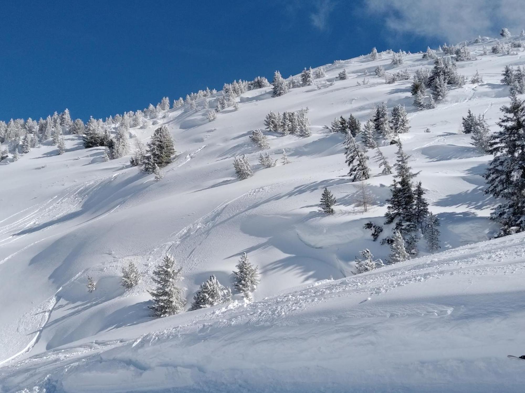 Chalet Walser A Vallorcine 13 Kms Chamonix France المظهر الخارجي الصورة